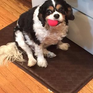 Meet your Posher, Tim